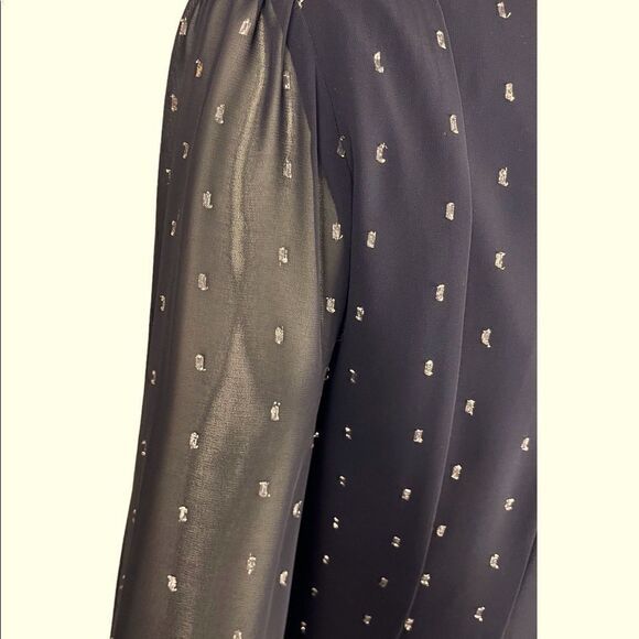 NWOT Catherine Malandrino Black/Platinum Chiffon Babydoll Dress Size 12 - Picture 7 of 9